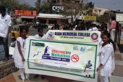Chennai Walkathon 18 30 01 2018