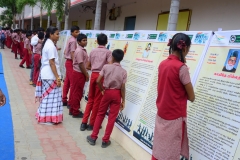 RAJ_3650