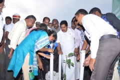 Green Gummudipoondi Tree Palntation Campaign Oct 15 2018