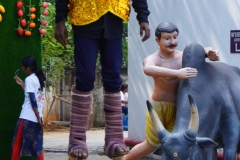DSC06463