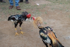 1-51