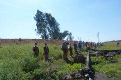 P1020193