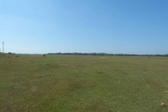 P1020202
