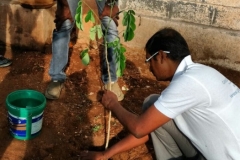 Tirupur Gandhi World Foundation celebrate World Environment Day June 5 2016