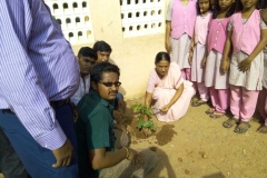 Trichy Gandhi World Foundation celebrate World Environment Day June 5 2016