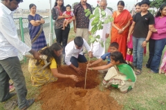 World Environment Day June 5 & 6 - 2015